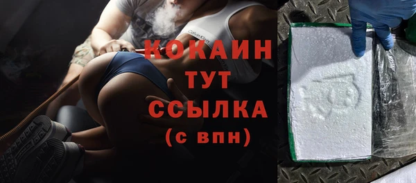 шишки Ладушкин