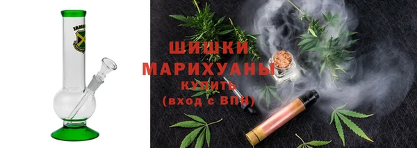 шишки Ладушкин