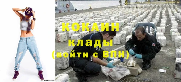 шишки Ладушкин