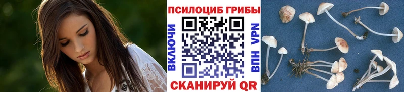 купить закладку  Чердынь  Галлюциногенные грибы прущие грибы 